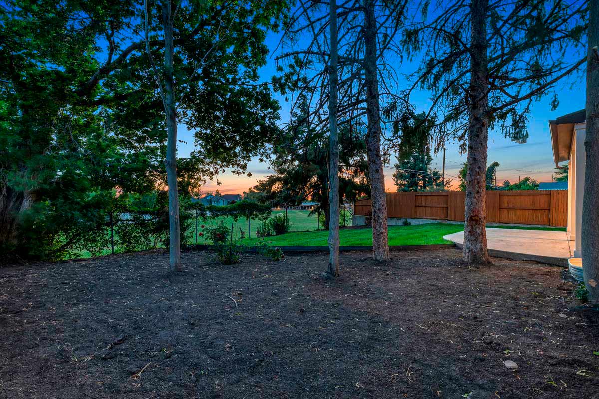 A backyard at dusk with tall trees and a wooden fence. The sky is a deep blue, transitioning to orange near the horizon. A concrete patio is visible to the right, partially lit by the soft glow of exterior lights.